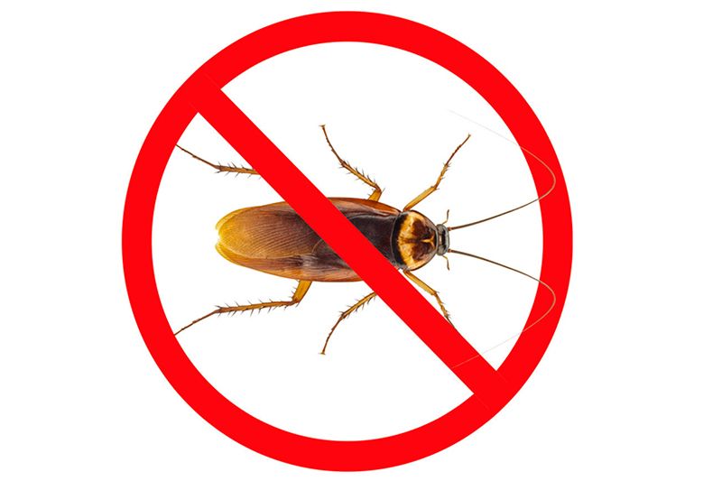 Эффективные средства BROS от тараканов